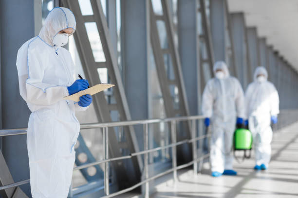 Best Industrial Mold Remediation  in Macdonnell Heights, NY