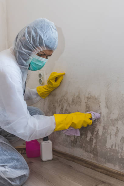 Asbestos and Lead Testing During Mold Inspection in Macdonnell Heights, NY
