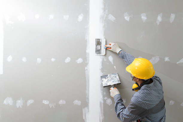 Best Water Damage & Mold Remediation  in Macdonnell Heights, NY