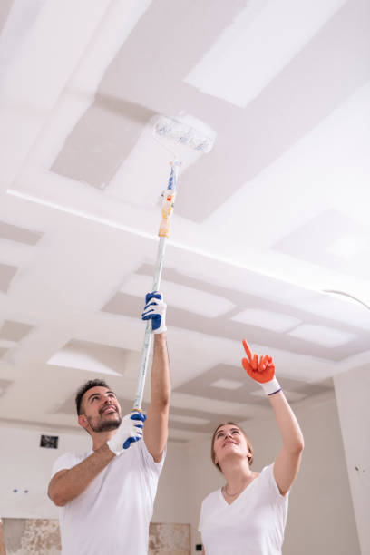 Best Post-Remediation Verification Testing  in Macdonnell Heights, NY