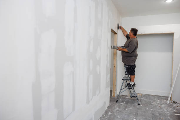 Best Mold Damage Restoration  in Macdonnell Heights, NY