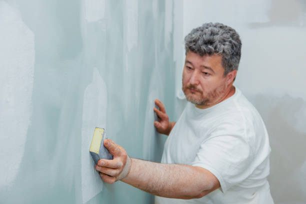Best Mold Removal for HVAC Installations  in Macdonnell Heights, NY