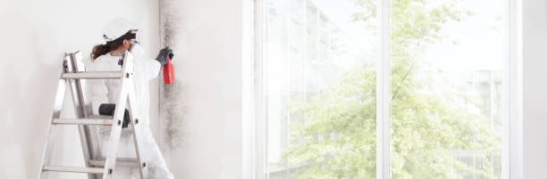 Best Forensic Mold Investigation  in Macdonnell Heights, NY