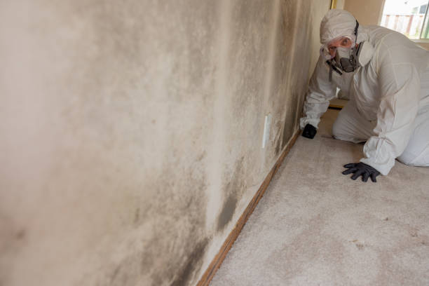 Mold Removal for HVAC Installations in Macdonnell Heights, NY
